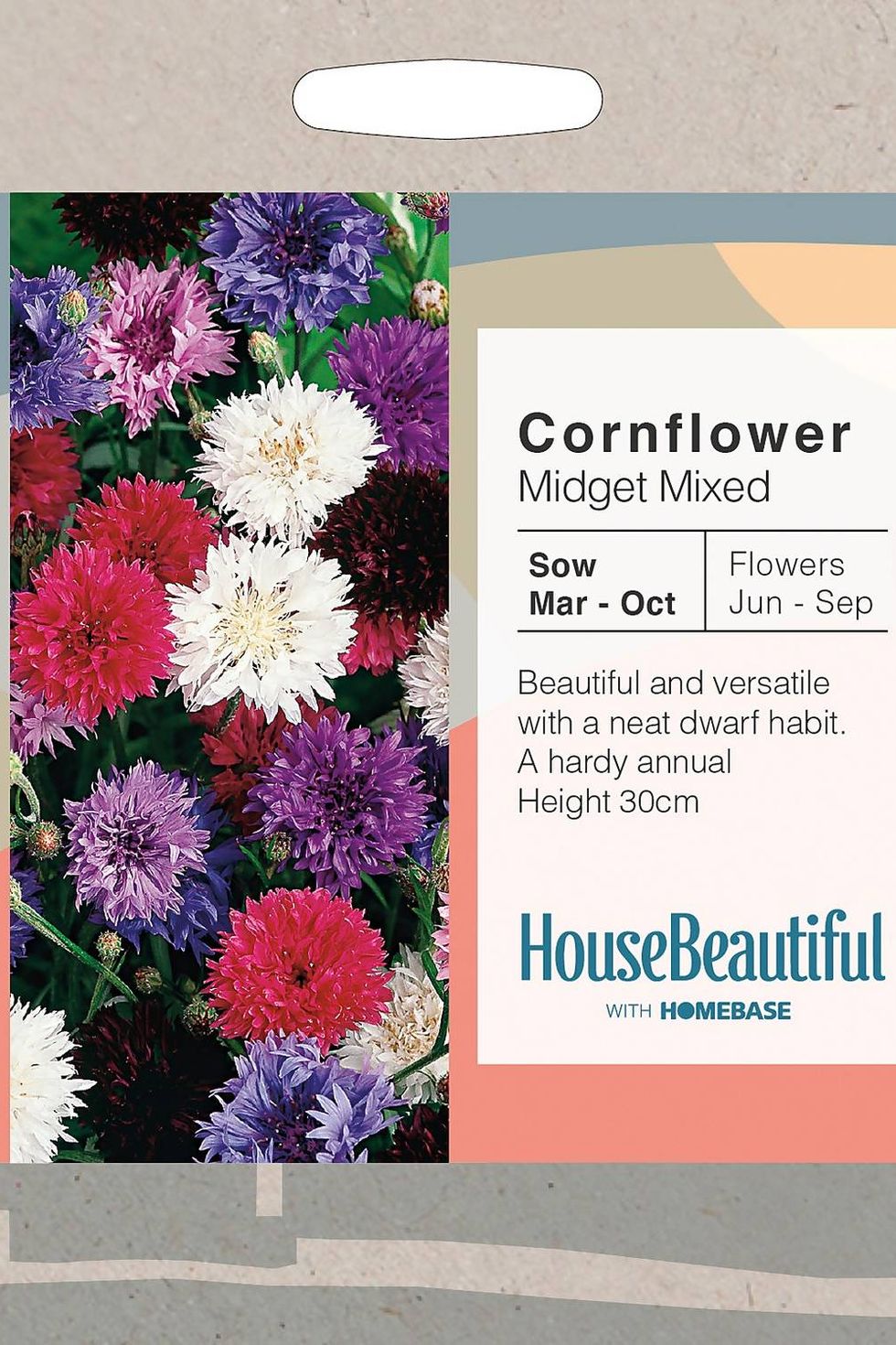 house beautiful cornflower midget mixed seeds
