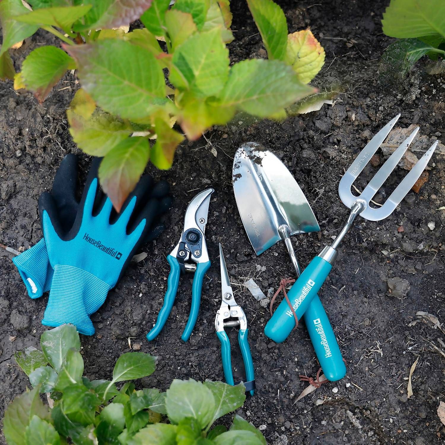Everything you need for an affordable garden makeover