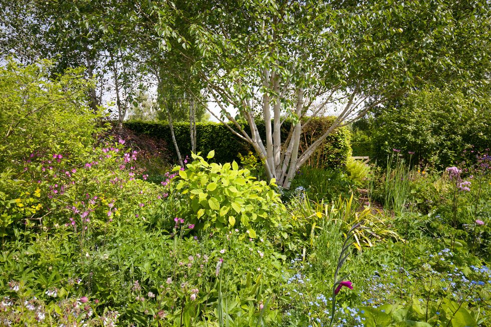east lambrook manor with famous cottage gardens for sale in somerset