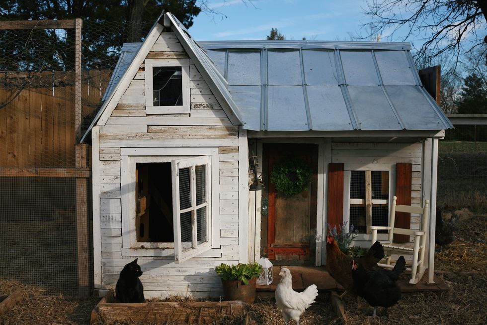 DIY Chicken Feeder - Little House Living