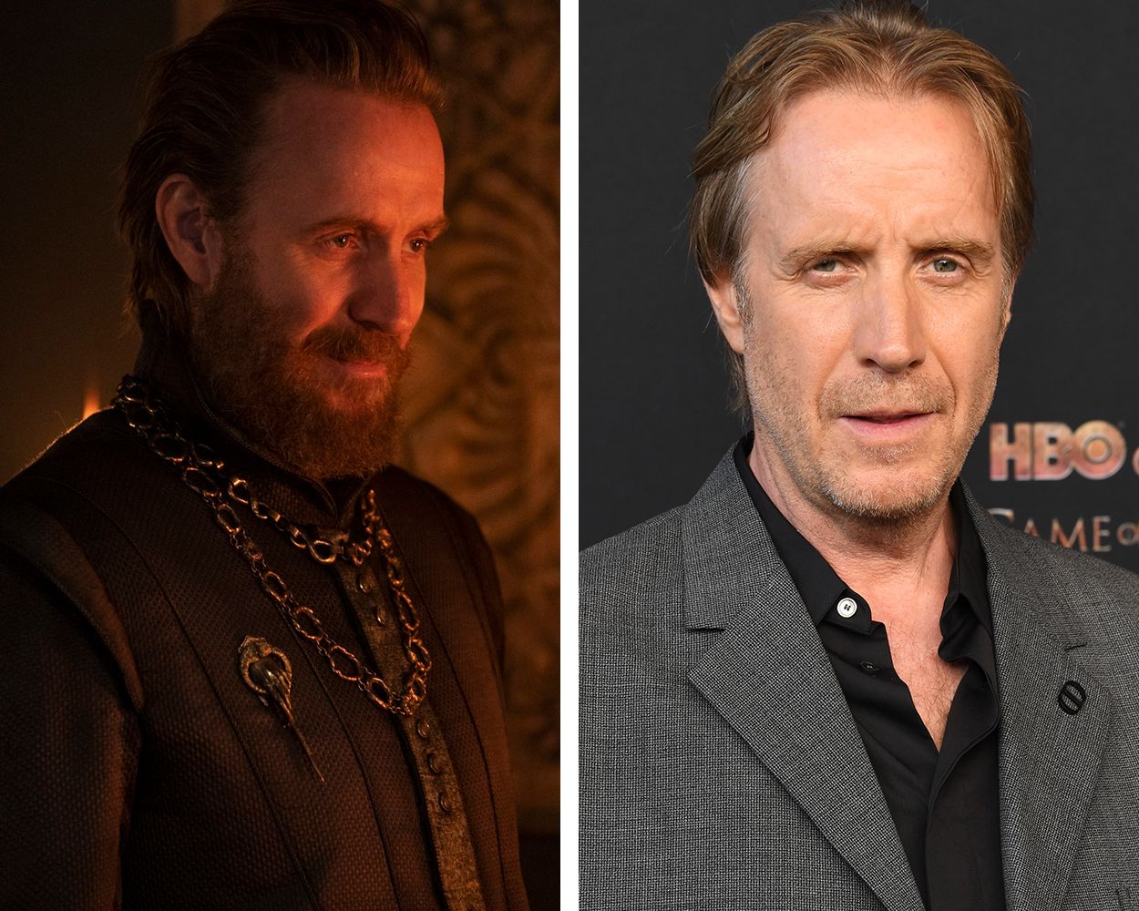 Who is Rhys Ifans? Meet the actor who plays Ser Otto Hightower in House of  the Dragon