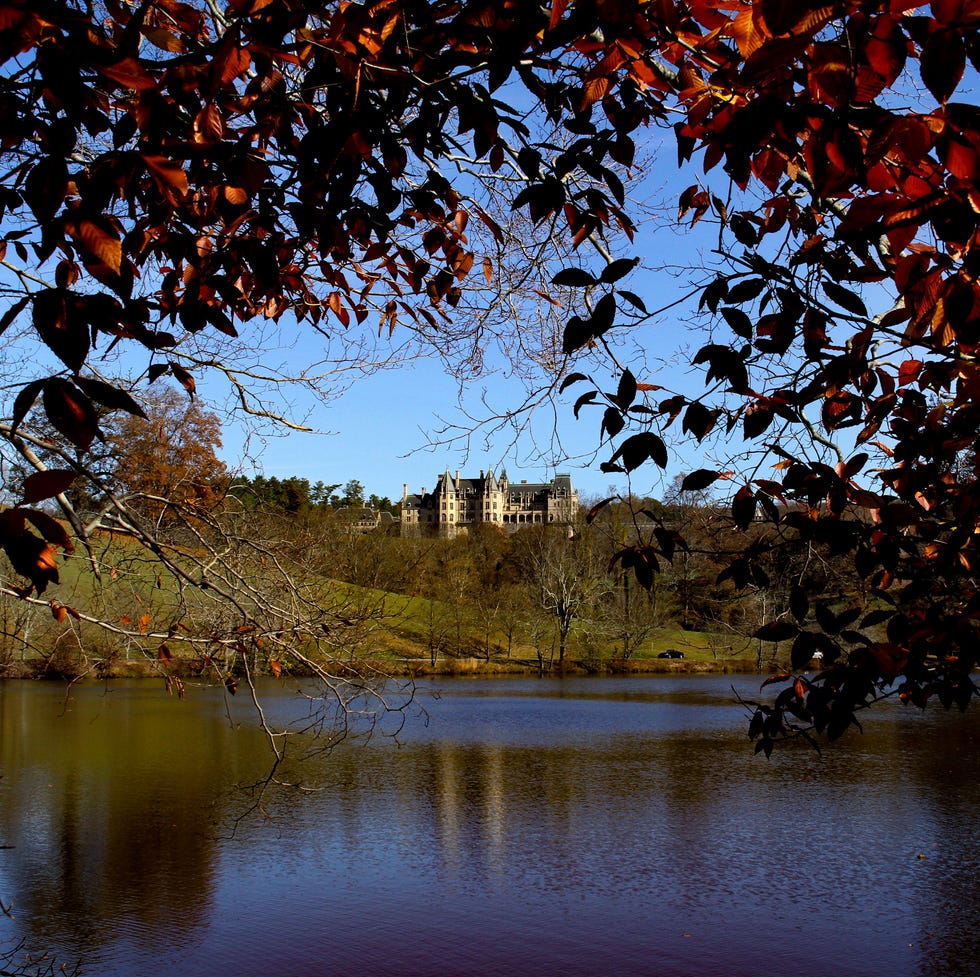 house on the hill