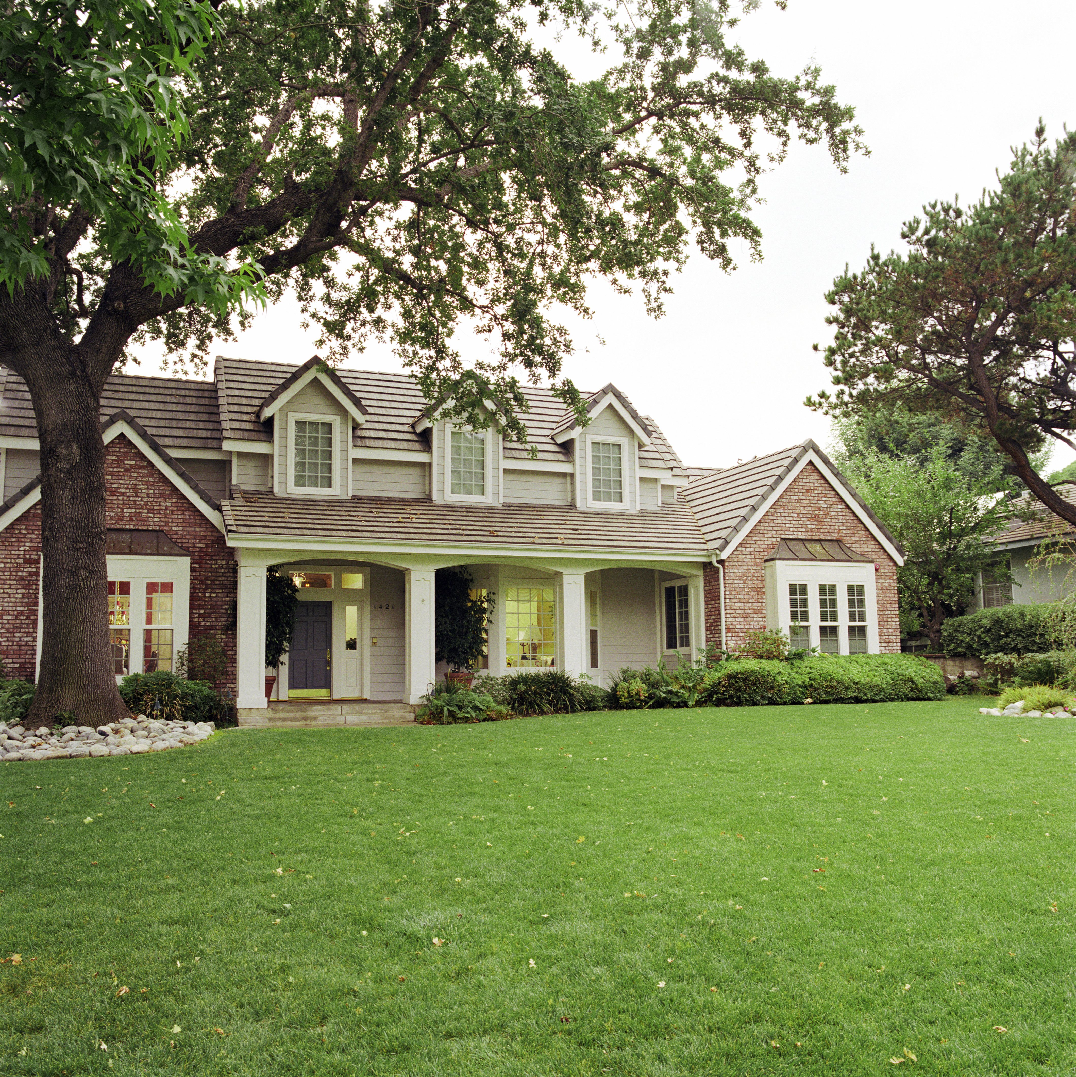 Gardeners Say These Five Trees Can Add THOUSANDS to Your Property Value