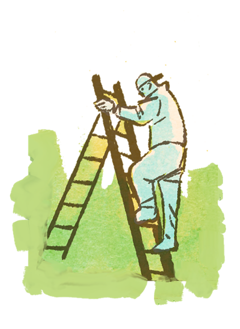 painter getting on ladder
