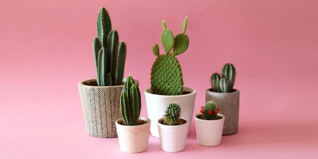  reusable items you should never throw away 