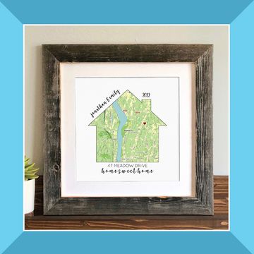 potted snake plant, personalized house map art