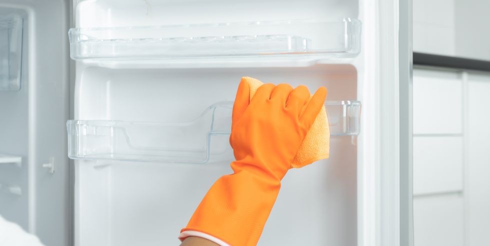 how clean is your fridge