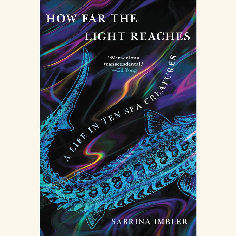 how far the light reaches, sabrina imbler, book, queer, marine biology, alta journal
