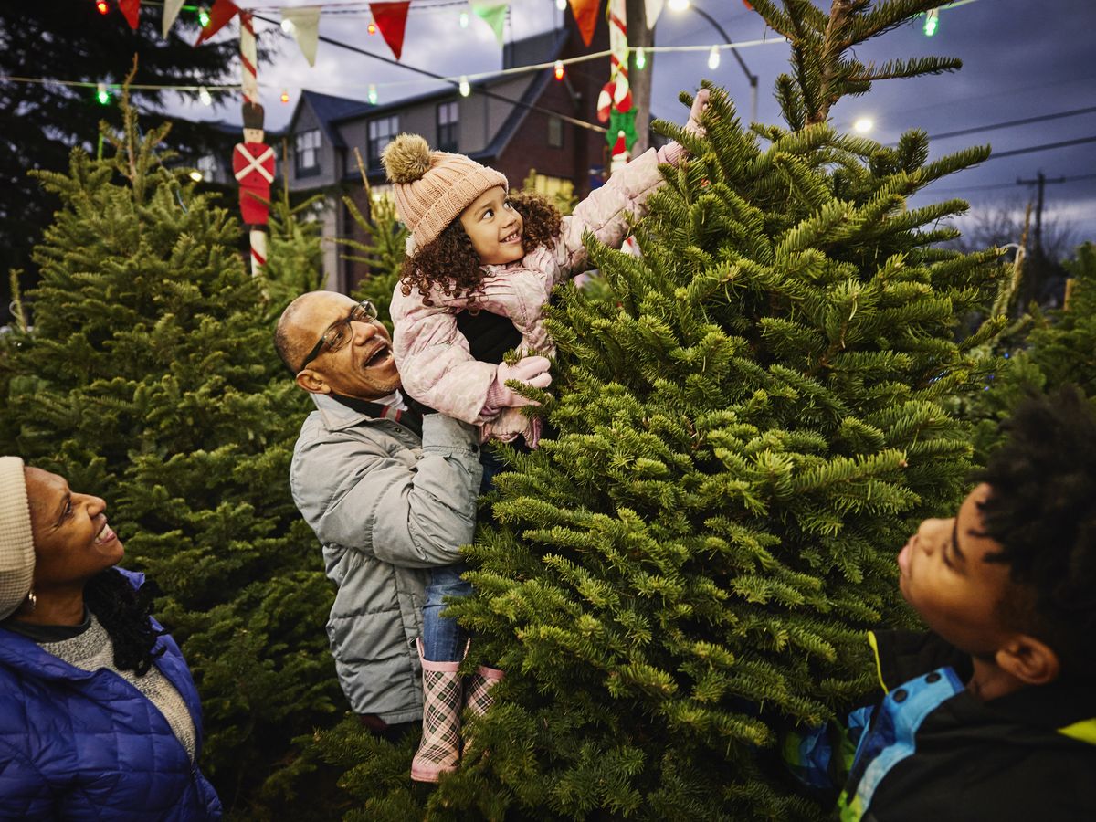 DIY Christmas Tree Aromie Freshie Kit Holiday Car Air Freshener Do