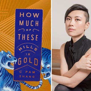 how much of these hills is gold, c pam zhang