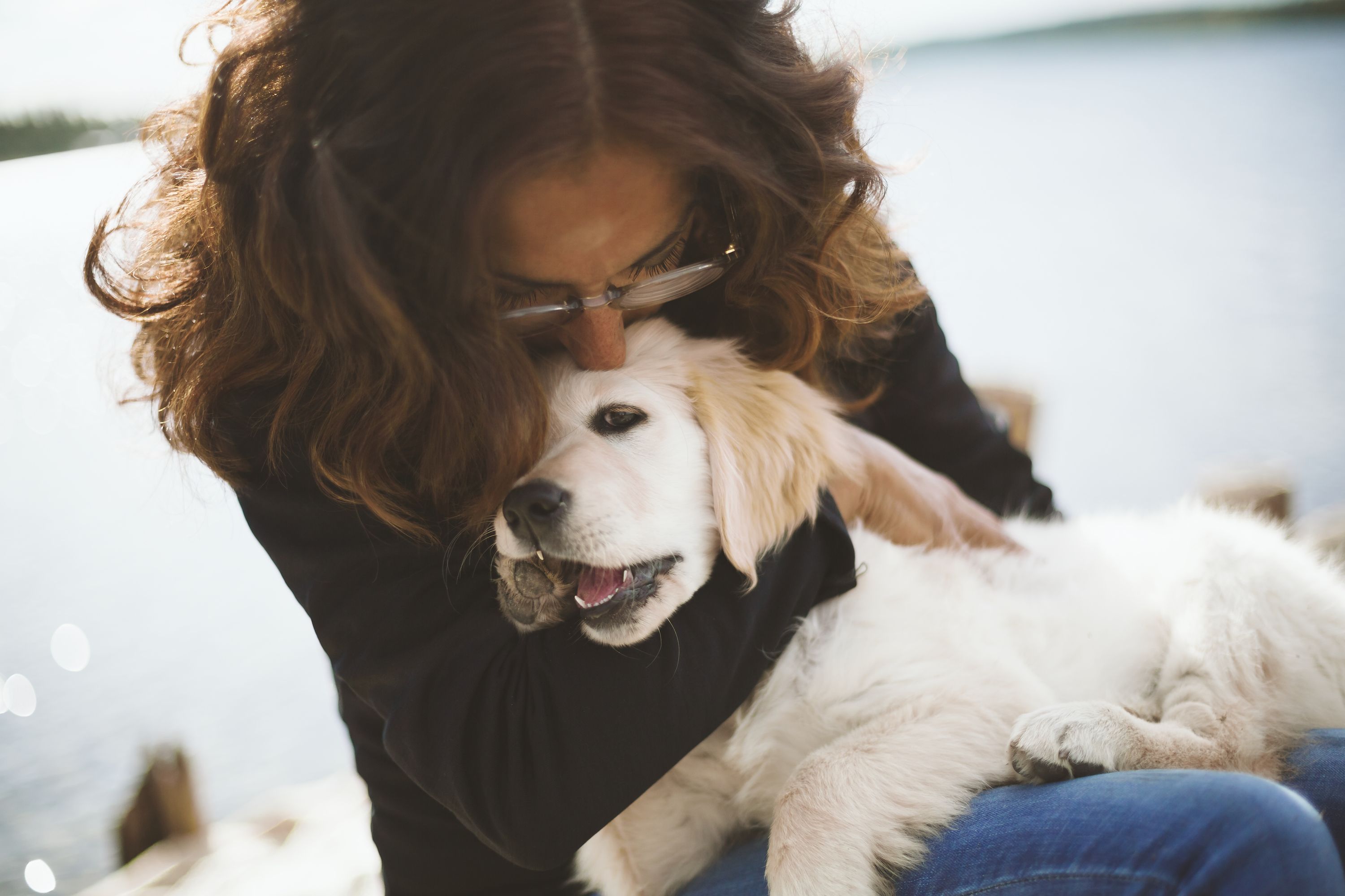 How to Adopt a Dog — Adopting a Dog From an Animal Shelter for Free