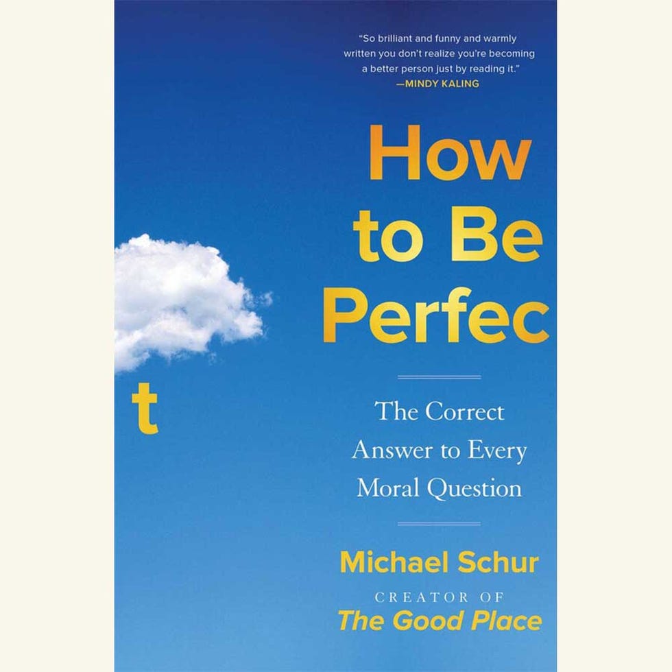 how to be perfect, michael schur
