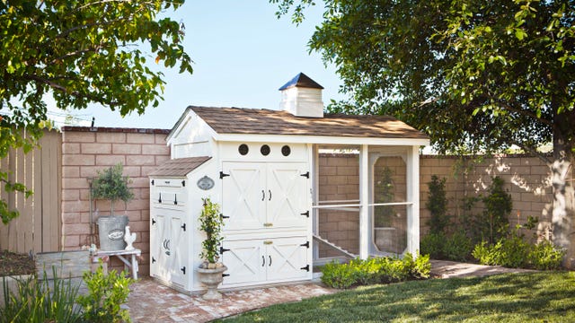 how to build a chicken coop