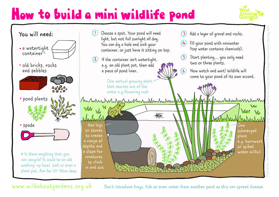 RHS tips on how to build your own garden pond