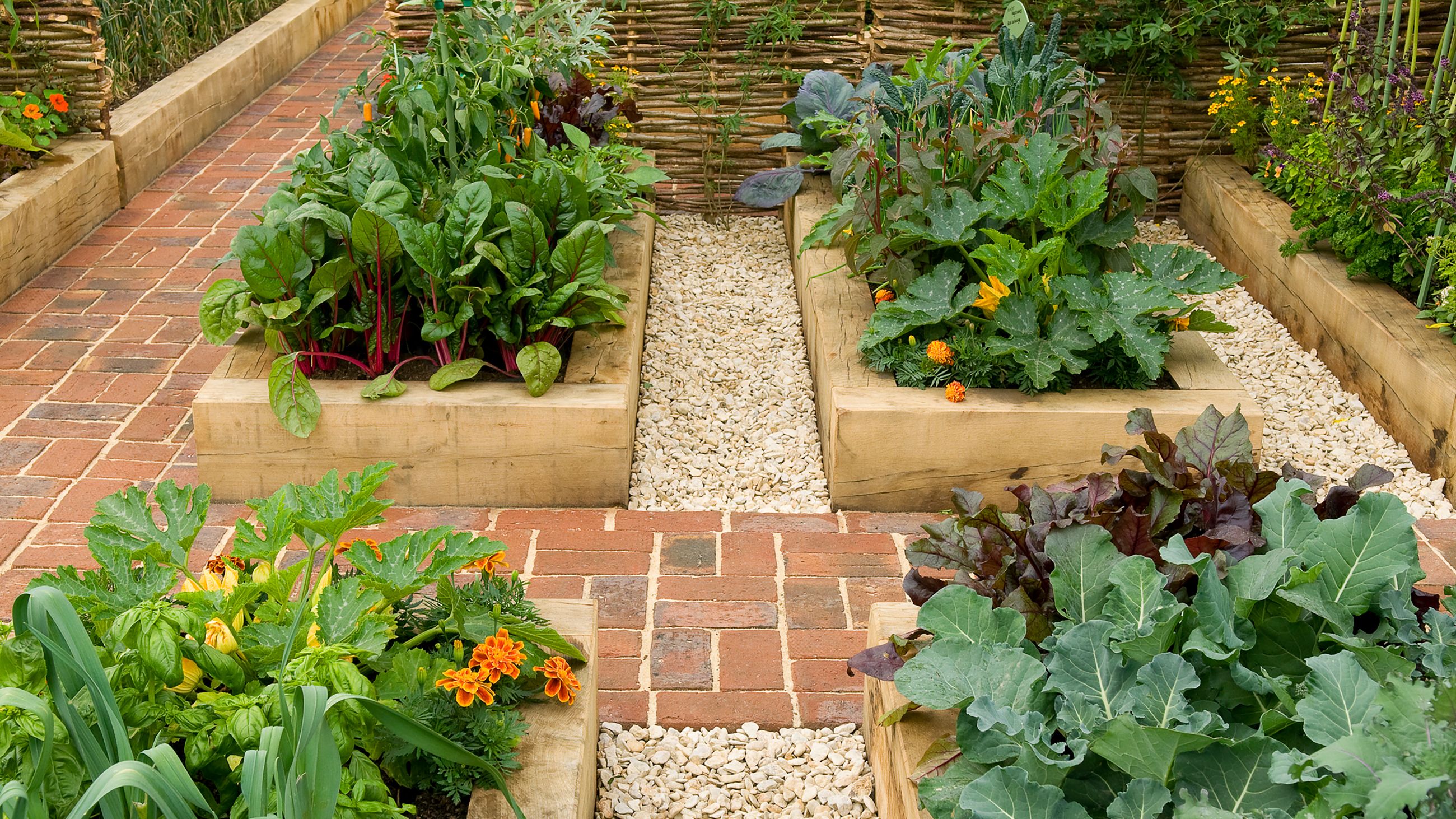 Here's Why Raised Garden Beds Are a Must (and How to Make One)
