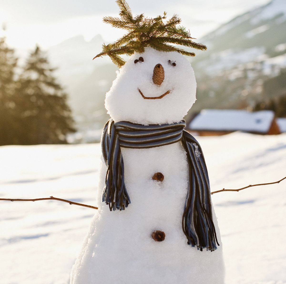 Snowman Kit Just Add Snow Family Gift Snow Day DIY Christmas Activity  Winter Fun Snowman Face 