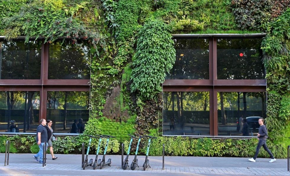 paris, france   september 04  people walk past the quai branly museum vertical garden musee du quai branly  jacques chirac, designed and planted by french botanist patrick blanc, in paris, france on september 04, 2019  photo by mustafa yalcinanadolu agency via getty images