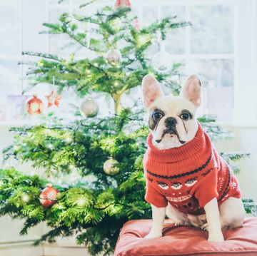 how to care for your christmas jumper