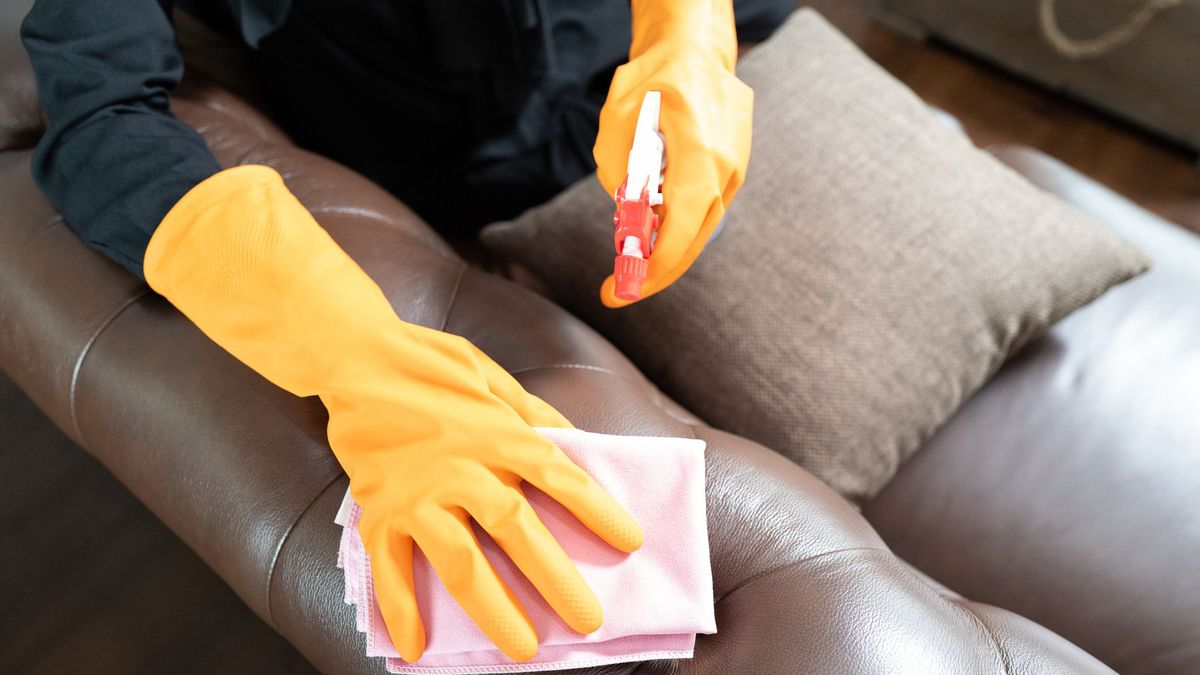preview for How to Clean a Couch According to a Professional Upholsterer