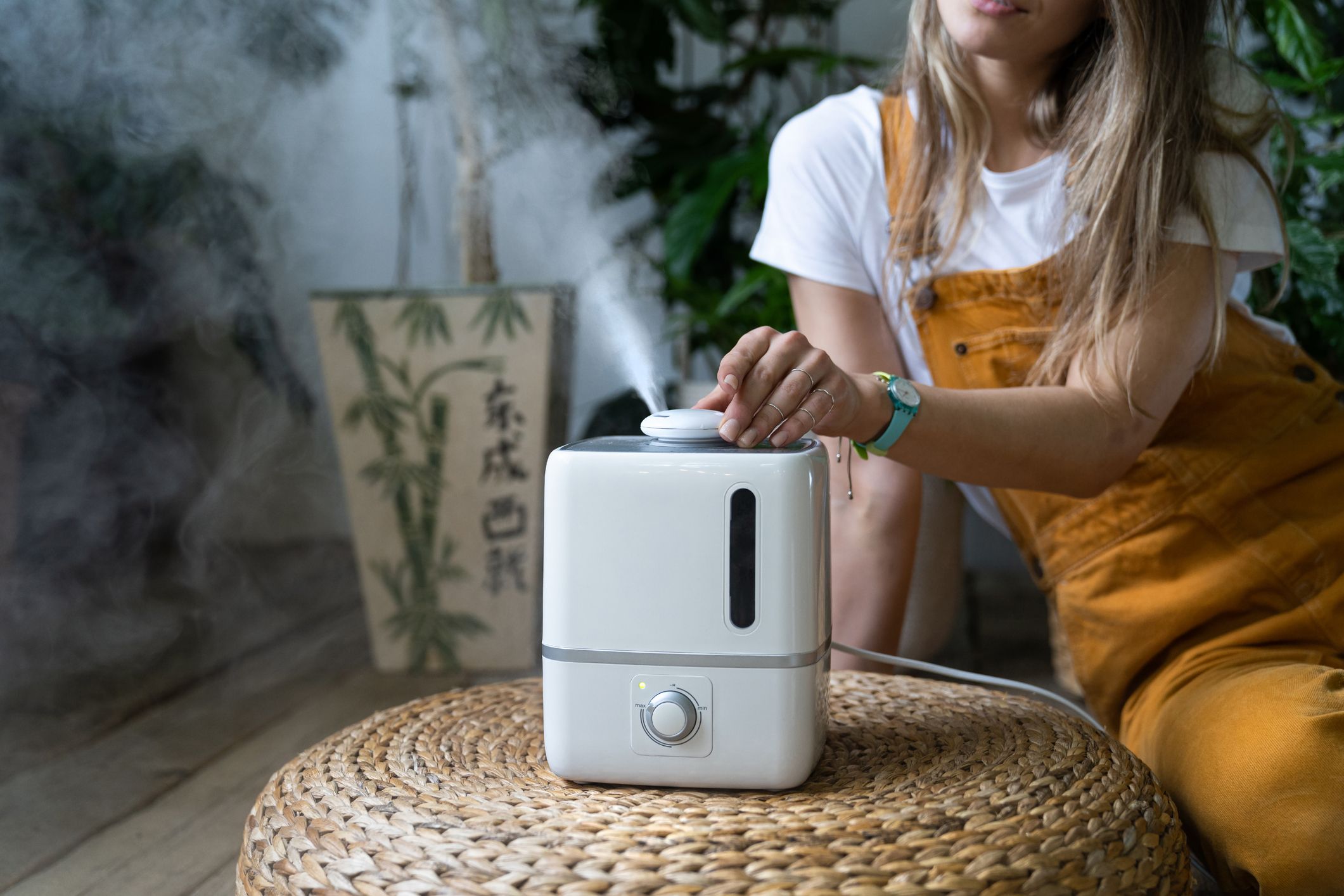 https://hips.hearstapps.com/hmg-prod/images/how-to-clean-humidifier-651186dadd348.jpg