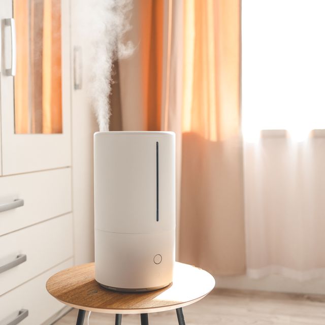 https://hips.hearstapps.com/hmg-prod/images/how-to-clean-humidifier-6511873774406.jpg?crop=0.6666666666666666xw:1xh;center,top&resize=640:*