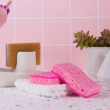 sponge on white dishcloth with ceramic plant holders on a pink tile background