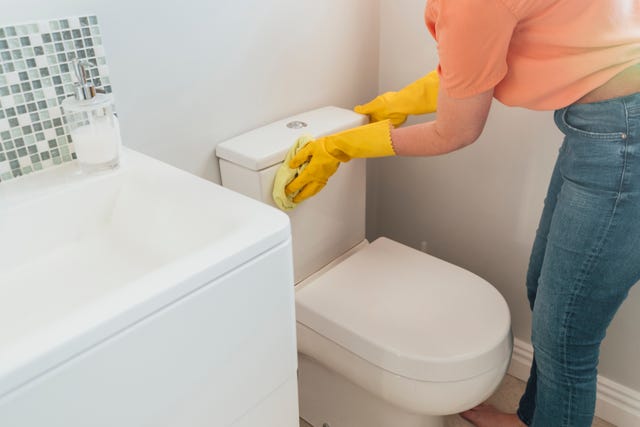 how to clean the toilet in minutes