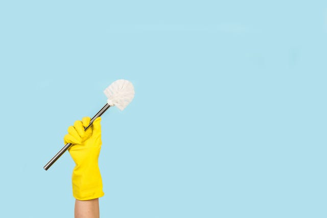 how to clean toilet brush