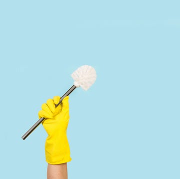 How to clean toilet brush how to clean toilet brush