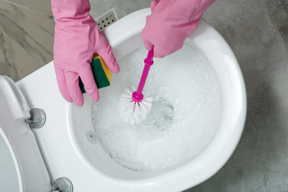 how to clean toilet brush