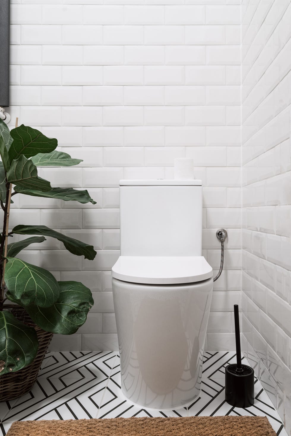 how to clean toilet brush