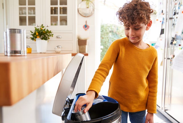 how to clean your bin