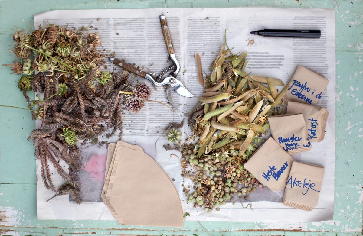 Potato Grow Bag  The Seed Collection