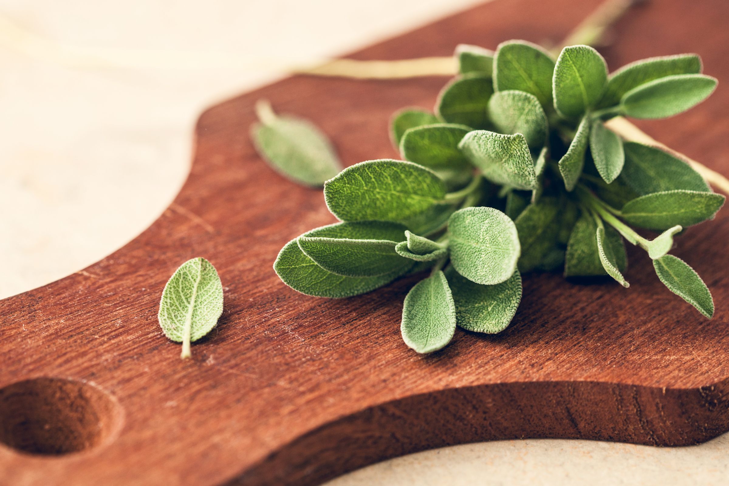 What Is Sage? And How Do You Use It?