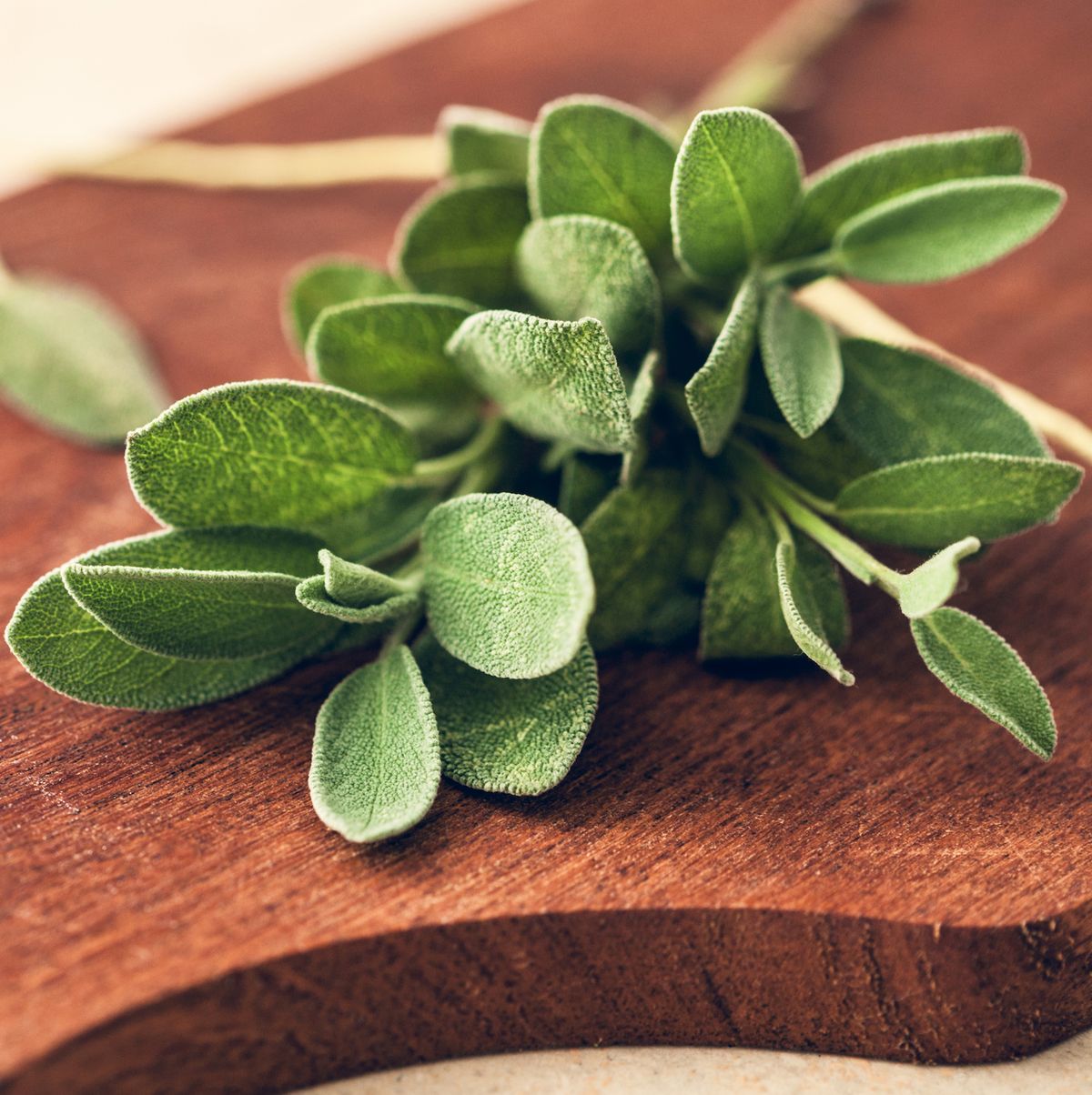 How to Cook With Fresh Sage - Best Things to Do With Fresh Sage