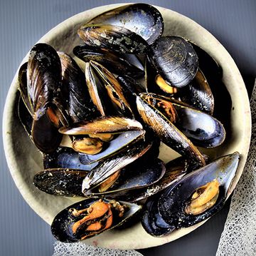 how to cook shellfish oysters, mussels, clams