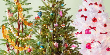 Christmas tree, Christmas decoration, Christmas ornament, Tree, Plant, Branch, Flower, oregon pine, Interior design, Colorado spruce, 