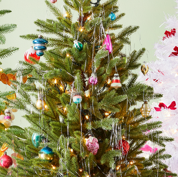 Christmas tree, Christmas decoration, Christmas ornament, Tree, Plant, Branch, Flower, oregon pine, Interior design, Colorado spruce, Christmas tree, Christmas decoration, Christmas ornament, Tree, Plant, Branch, Flower, oregon pine, Interior design, Colorado spruce,