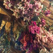flowers hanging from ceiling