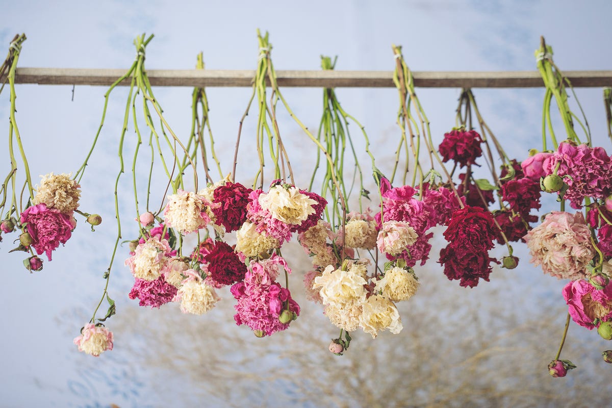 cómo secar flores en cuatro pasos con esta técnica diy