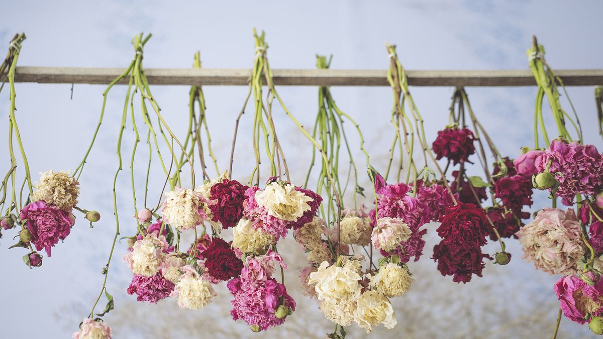 Seis ideas para hacer manualidades con flores secas en casa que no