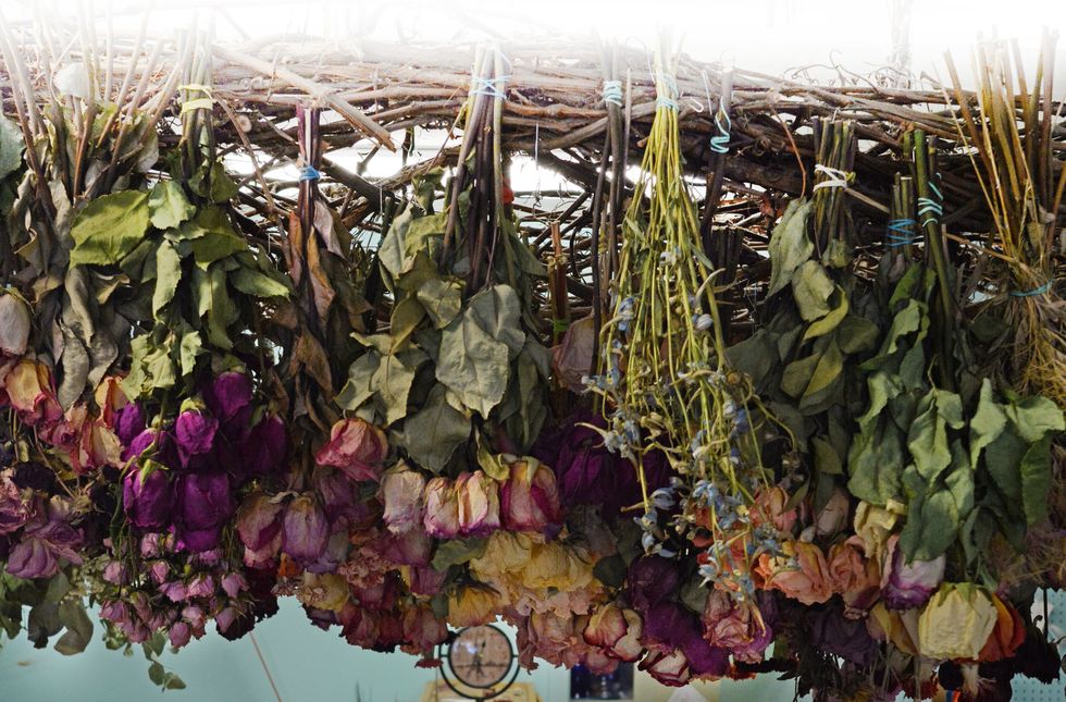 How to Dry and Display Special Flowers