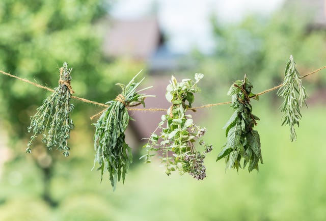 How to Dry Herbs from Your Garden