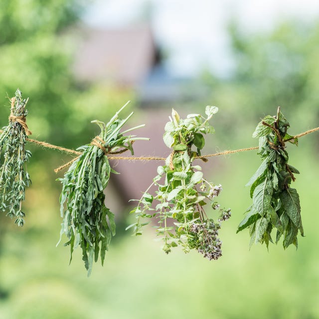 How To Dry Herbs From Your Garden how-to-dry-herbs-from-your-garden