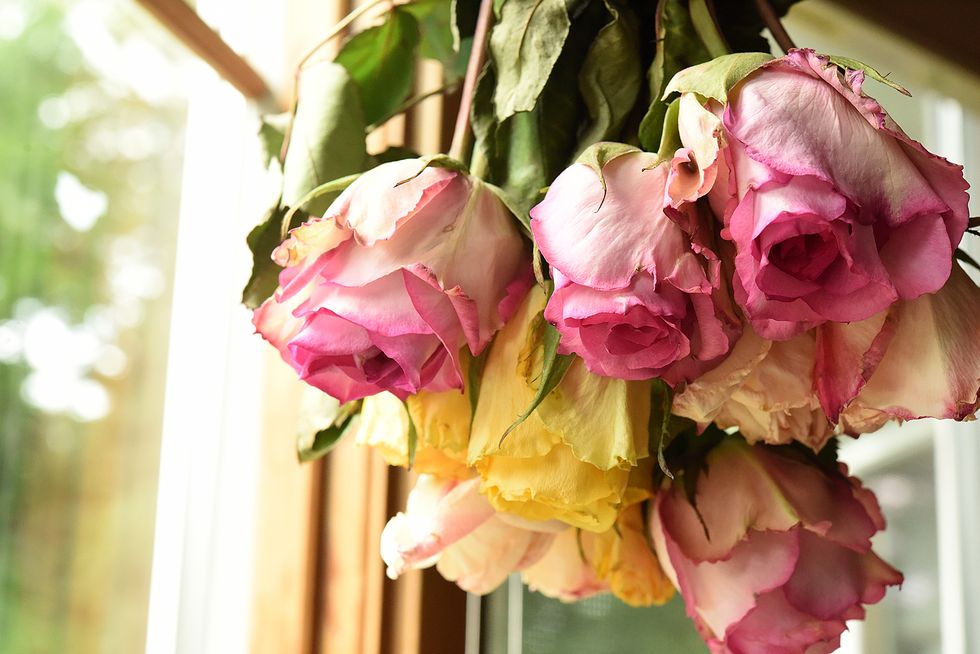 How to dry roses