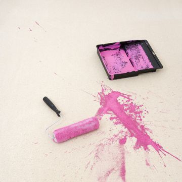 paint roller and tray with pink paint spilled on a cream rug