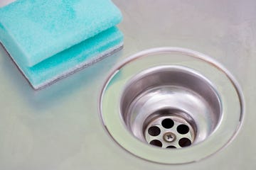 cómo eliminar las moscas de la humedad que aparecen cerca de los desagües