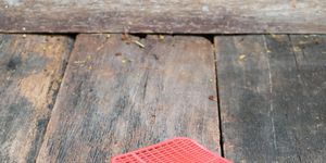 red fly swatter single flyswatter made of plastic and unfailing in catching flies on wooden floor background