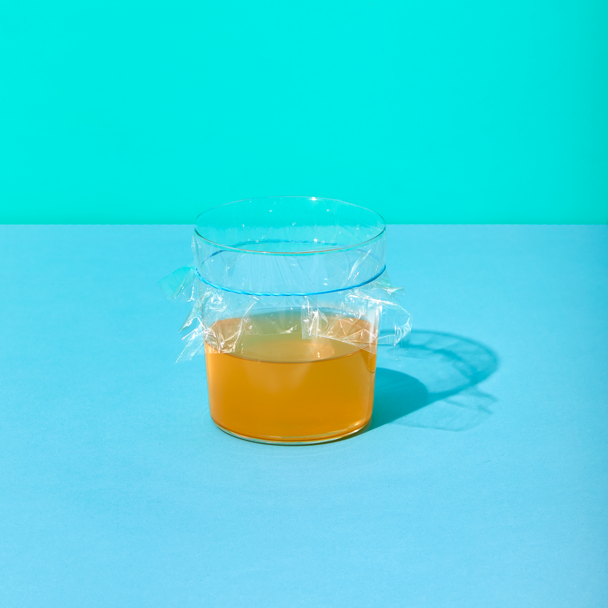 How to Make an Apple Cider Vinegar Fruit Fly Trap