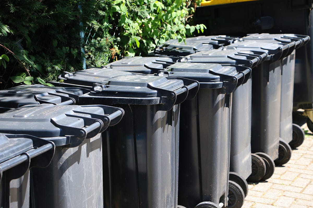 How To Get Rid of Maggots in Your Wheelie Bin